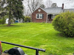 Michele M.'s Lawn Maintenance service result