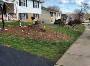 Cleanups by Rose Valle for Debbie L. in Sterling, VA