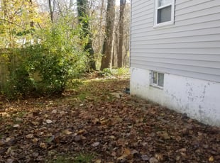 Cleanups by Miguel Santos for Jonathan B. in Silver Spring, MD