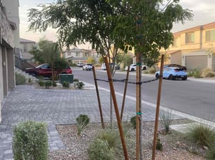 Llewellyn H.'s Bush Trimming service result