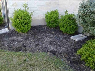 Weeding by Martin Mata for Nadia A. in Lakeway, TX