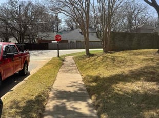 Leaf Removal by Maria Hernandez for James P. in Grapevine, TX