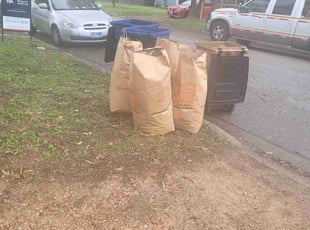 Leaf Removal by Lucio Gonzales for John M. in Austin, TX