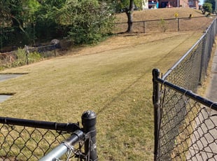 Leaf Removal by Terrence Hawkins for Rashell O. in Oxon Hill, MD
