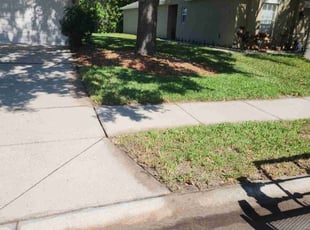 Leaf Removal by Robert Pierson for Eric M. in Hudson, FL