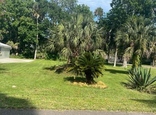 Vikki P.'s Lawn Maintenance service result
