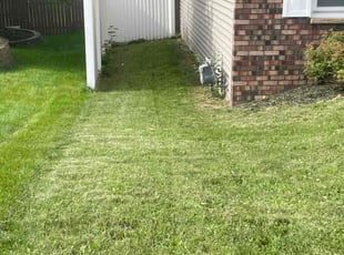 Matthew M.'s Lawn Mowing service result