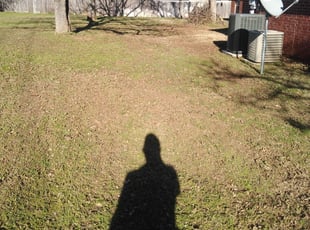 Leaf Removal by Severa Rosie Lara for Bozie M. in Kennedale, TX