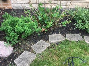 Landscaping by Ryan Kukla for Sara G. in Palatine, IL