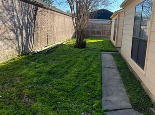 Leaf Removal by Paul Jones for Jazmynne M. in Houston, TX