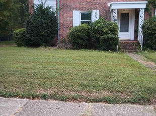Bush Trimming by Sean Saulsby for Shane K. in Norfolk, VA