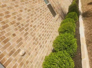 Mulching by Manuel Solis Soto for Diana W. in Carrollton, TX