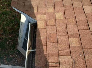 Landscaping by sergio beltran for Richard B. in Palm Harbor, FL