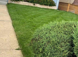 Bobby G.'s Lawn Mowing Service service result