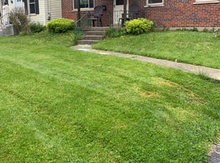 Bush Trimming by Dylan Butler for Jarra H. in Cincinnati, OH