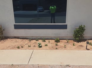 Leaf Removal by Gideon Cook for Rochelle D. in Phoenix, AZ