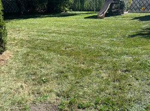 Lisa W.'s Lawn Mowing Service service result