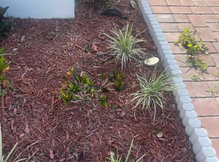 Weeding by Apolinar Bravo for Annesia B. in Winter Haven, FL