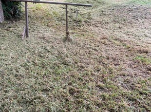 Cleanups by Brandon Bowers for Ike O. in Houston, TX