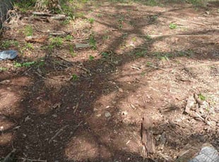 Leaf Removal by Joshua Walker for Janice K. in Snellville, GA