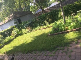 Bush Trimming by Preston Oliver for Laura S. in Minneapolis, MN