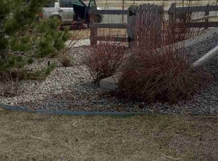 Bush Trimming by Alley Parker for Christopher H. in Arvada, CO