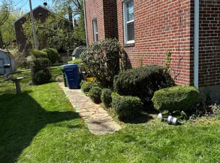Bush Trimming by Samuel Jordon for Josh F. in Baltimore, MD