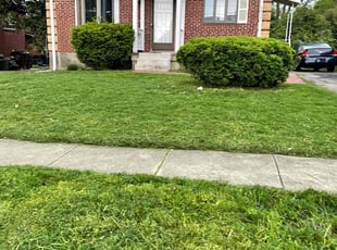 Weeding by Walter Thurmond for LaTasha W. in Cincinnati, OH