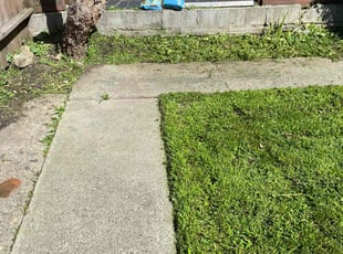Landscaping by Maria Almendra for Nathan P. in San Leandro, CA