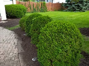 Cleanups by Courtney Gardner for Ryan W. in La Grange, IL