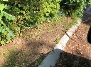 Cleanups by Amber Fuentes for Constance g. in Silver Spring, MD