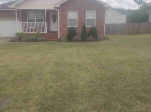 Linda P.'s Grass Cutting service result