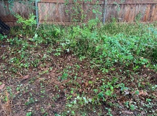 Cleanups by Leray Thornton for Scott K. in The Village, OK