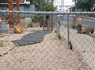 Cleanups by Gilbert Estrada for Rolando O. in Austin, TX