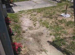 Landscaping by Jonathan Cruz for Peter B. in Daytona Beach, FL
