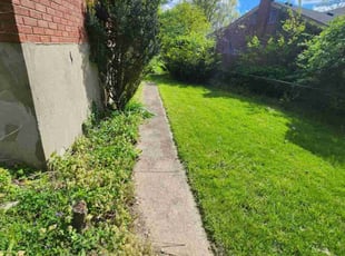 Leaf Removal by D'andre Antrion Covington for Erik P. in Cincinnati, OH