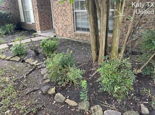 Leaf Removal by Oswaldo Hernandez for Roger R. in Katy, TX