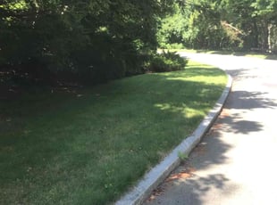 Eddy W.'s Grass Cutting service result