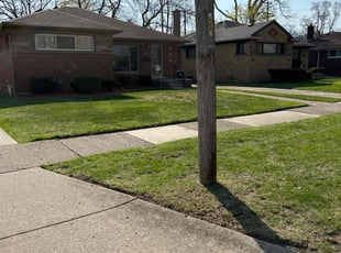 Cleanups by Laray Shipman for Nikhol A. in Oak Park, MI