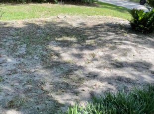 Weeding by Deon Valerio for Ashley G. in Houston, TX