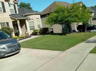 Beth H.'s Lawn Mowing service result