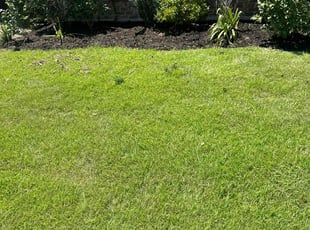 Mulching by Terry Felo for Julie D. in New Orleans, LA