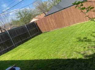 Malaya C.'s Lawn Mowing Service service result