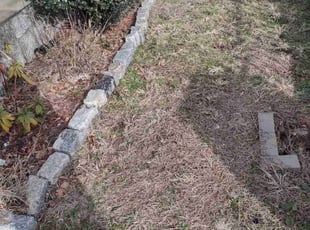 Cleanups by Matthew Spinelli for Mika M. in Bridgeport, CT