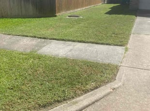 Eric K.'s Lawn Mowing Service service result