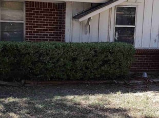 Bush Trimming by Sergio Beltran for Carrie C. in Bedford, TX
