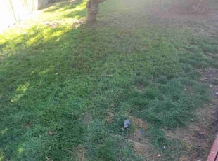 Cleanups by Delbert Jones for Marian E. in Boise, ID