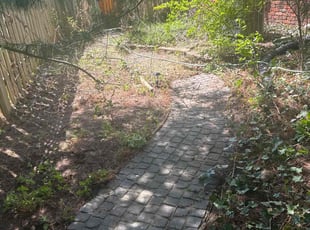 Leaf Removal by Luis Contreras for Christopher R. in Carmel, IN