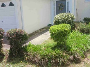 Bush Trimming by Christopher Mora for Candace B. in Douglasville, GA