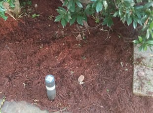 Mulching by Tyrone Wilkins for Brandy S. in Rockville, MD